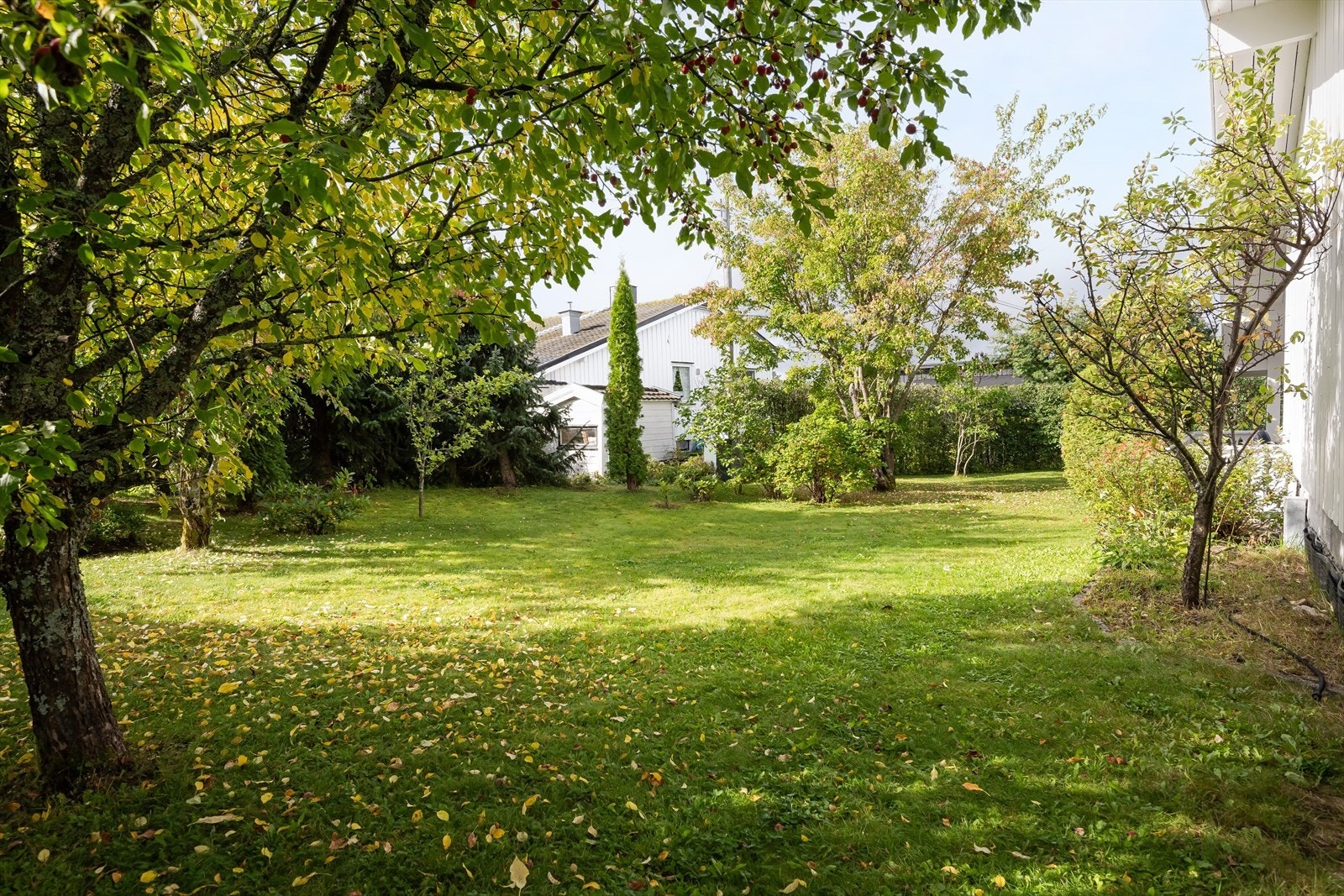 Eiendommen ligger i et etablert boligområde på Fjeldsetlia med nærhet til friluftsområder i Svartholtet. Kort avstand til Kiwi Fjeldset, barnehager og skoler, samt ca. 1,4 km til Elverum sentrum med alle byfasiliteter. Galleribilde