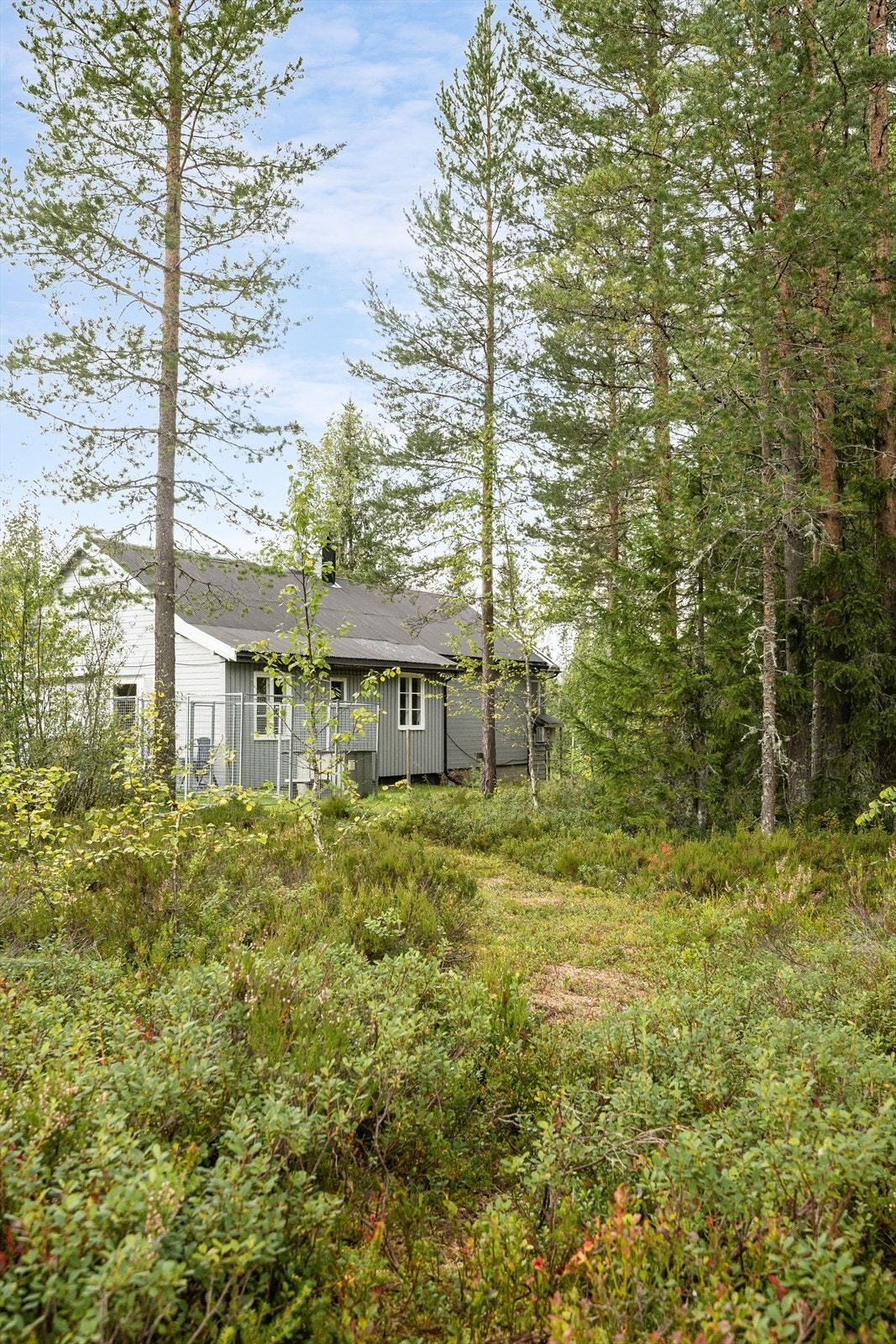 Hytta er fint tilrettelagt for å være et koselig familiested for både små og store. Med nærhet til Osensjøen ligger alt til rette for et aktivt båt- og badeliv på sommerhalvåret. Her kan du i tillegg rusle ned til sjøkanten og ta et bad på sommerstid. Galleribilde