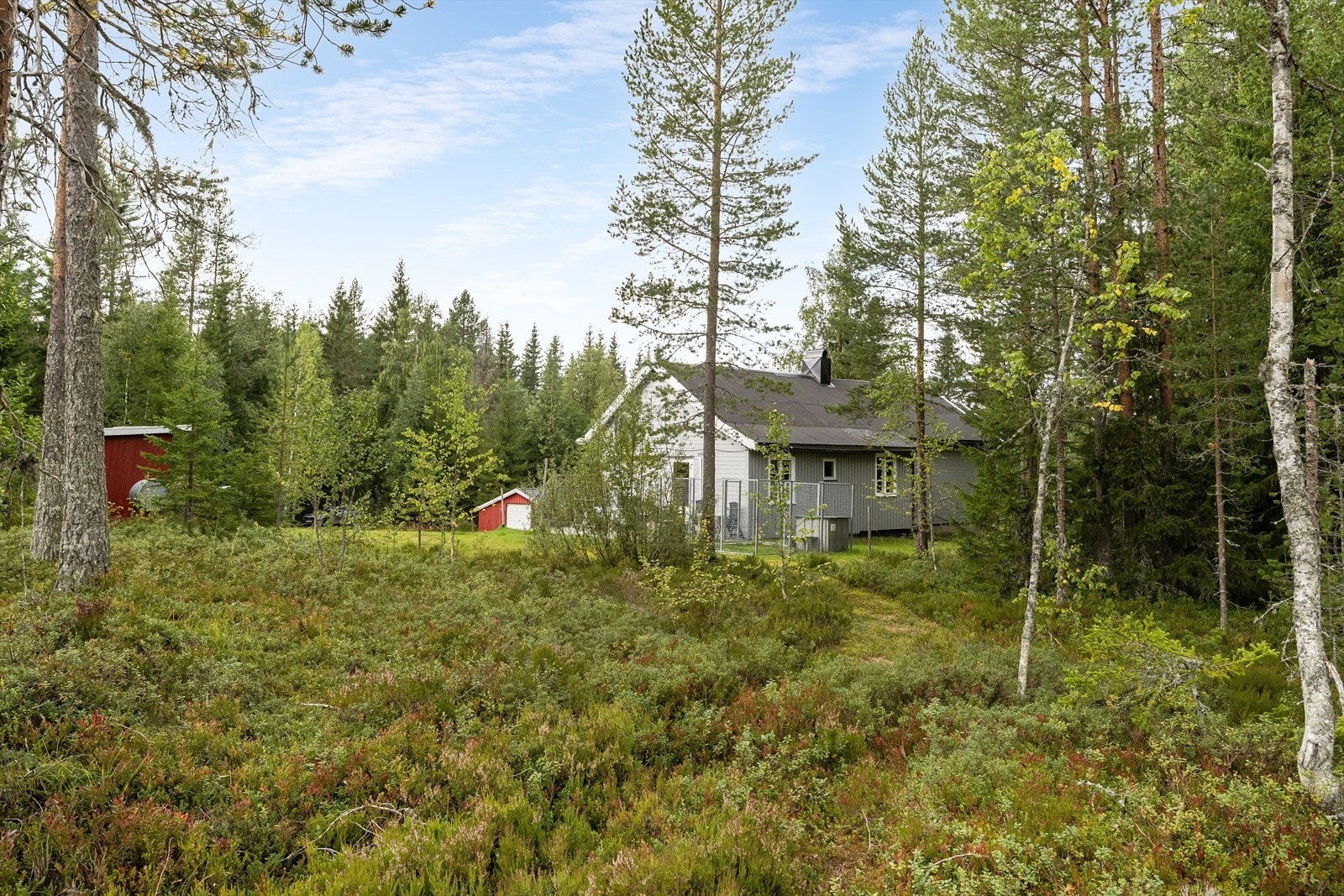 Eiendommen er fin og dels innrammet med busker og trær, som gir en skjermet følelse. Området er ypperlig for en aktiv familie og området er kjent for sine gode frilufts-, jakt- og fiskemuligheter, samt skiløyper på vinterstid. Galleribilde