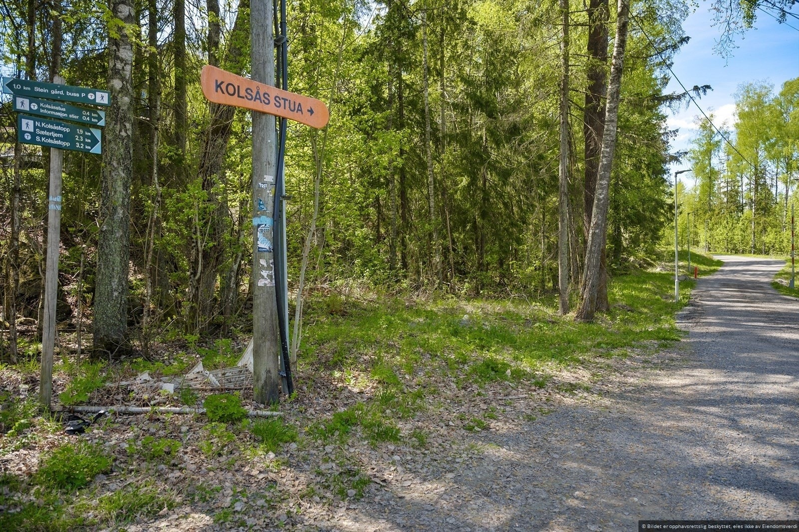 En mengde stier, skiløyper og turmuligheter i umiddelbar nærhet fra boligen Galleribilde