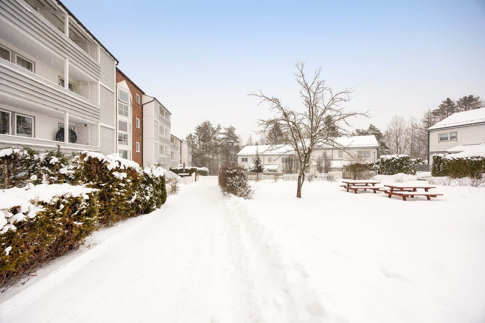 Hyggelige fellesarealer med sittegrupper og gangstier. Galleribilde