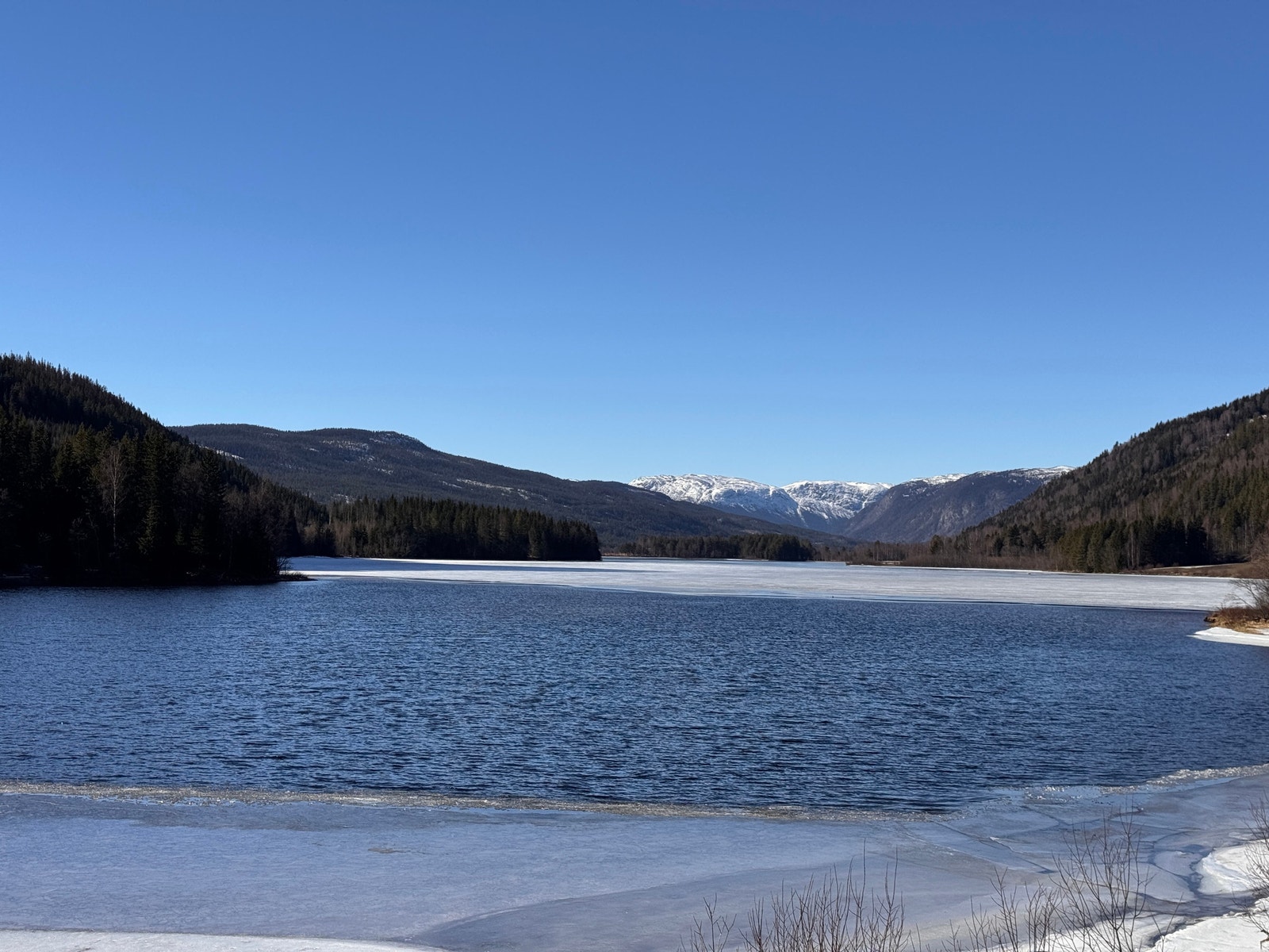 Utsikt mot Vidda Galleribilde