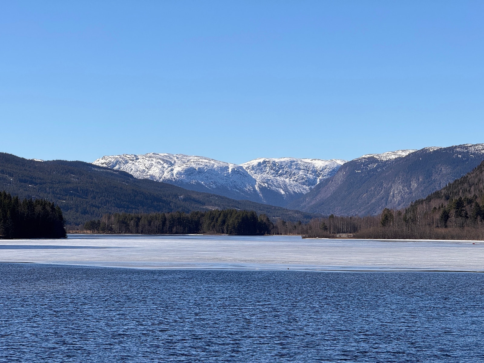 Utsikt mot Vidda Galleribilde