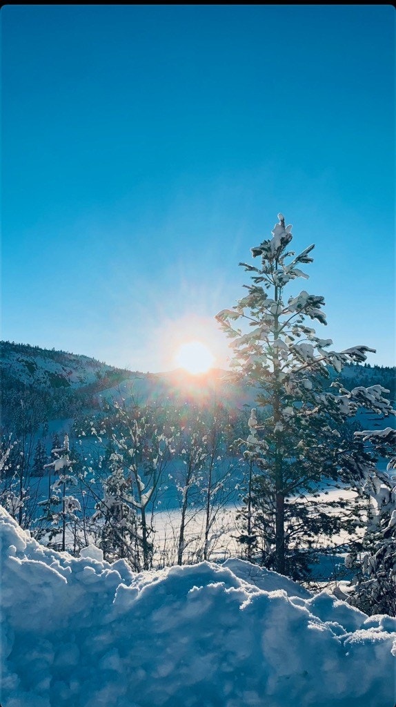 Velkommen til fellesvisning! Galleribilde