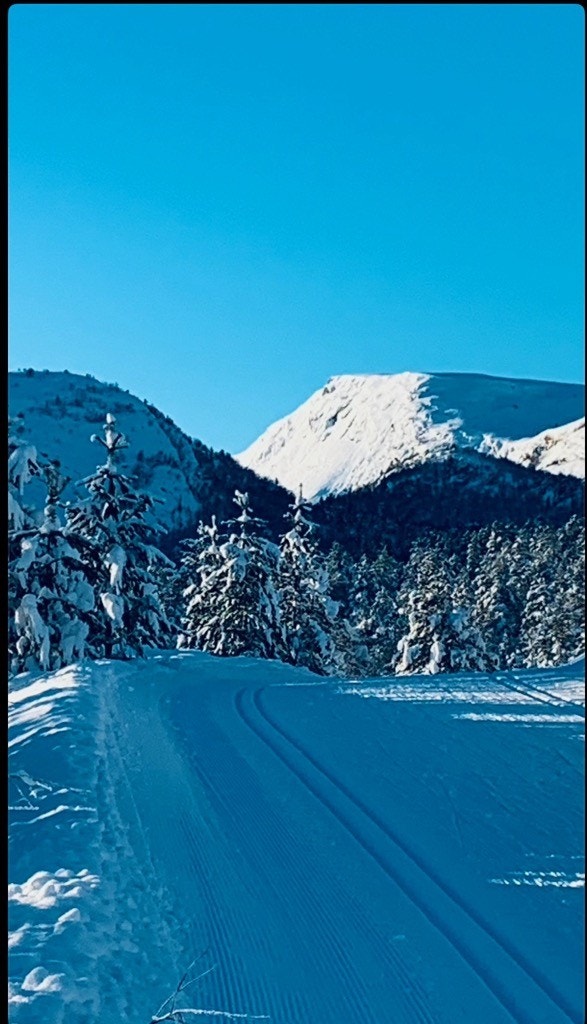 Selgers bilde - vakkert vinterlandskap Galleribilde
