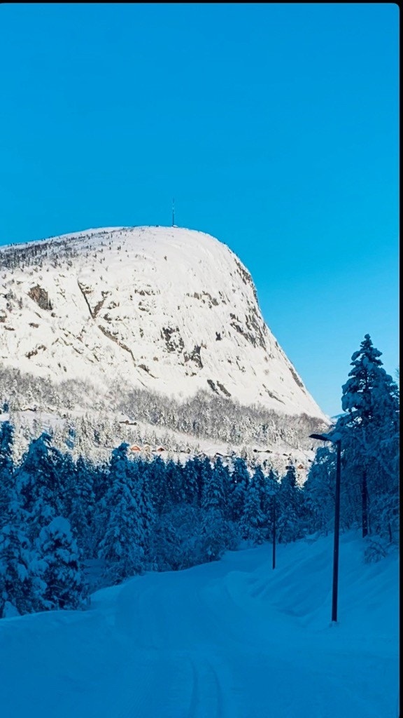 Løefjell som ruver i landskapet Galleribilde