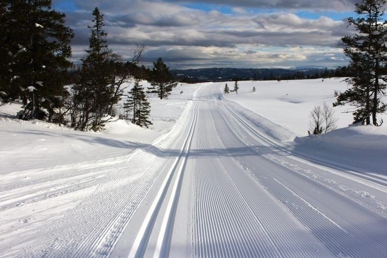 Bymarka som nærmeste nabo Galleribilde