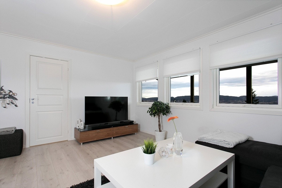 Romslig stue og kjøkken Galleribilde