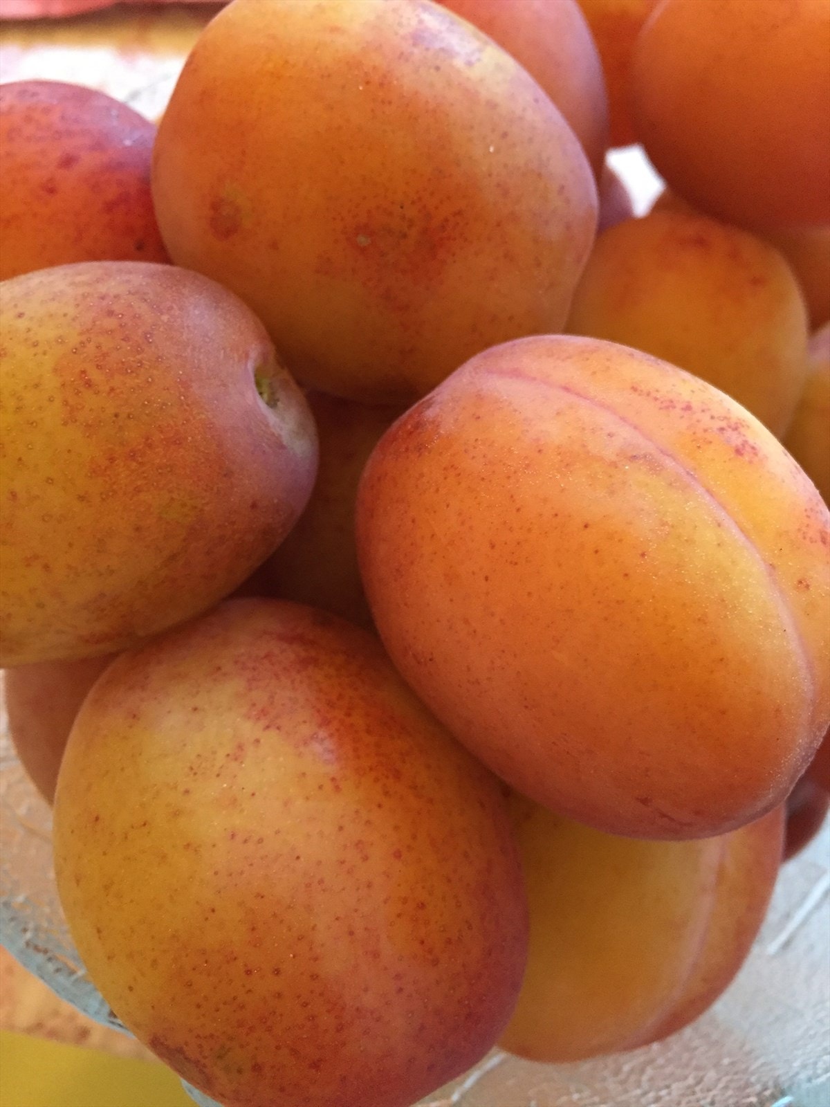 Frukthagen Galleribilde