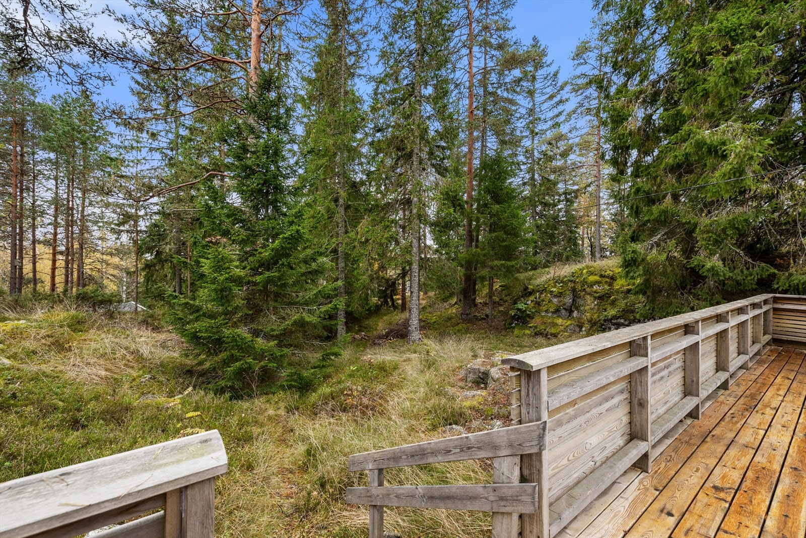 Her har du naturtomt og flotte turmuligheter rett utenfor døren. Galleribilde