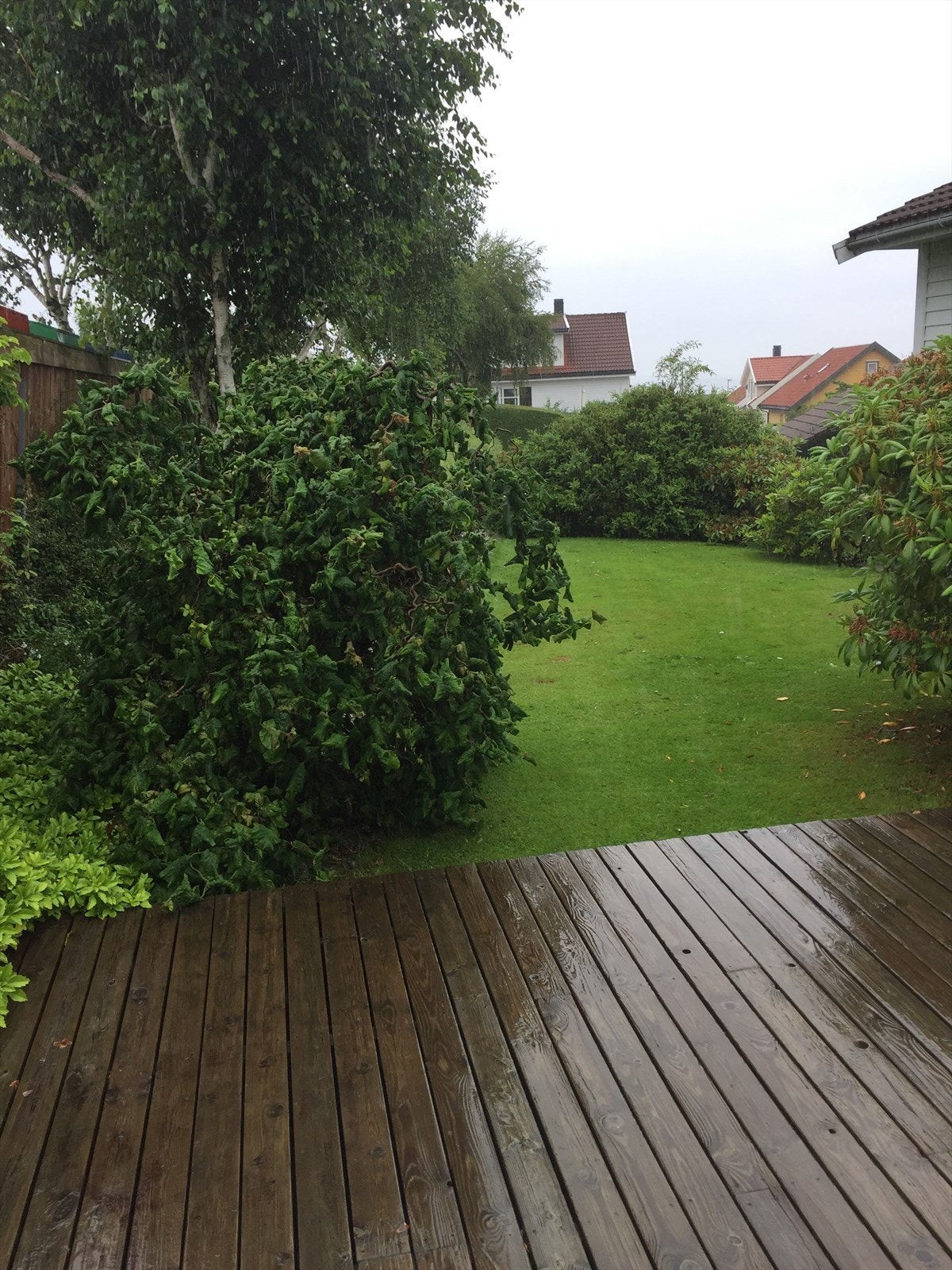 Selgers private bilder Galleribilde