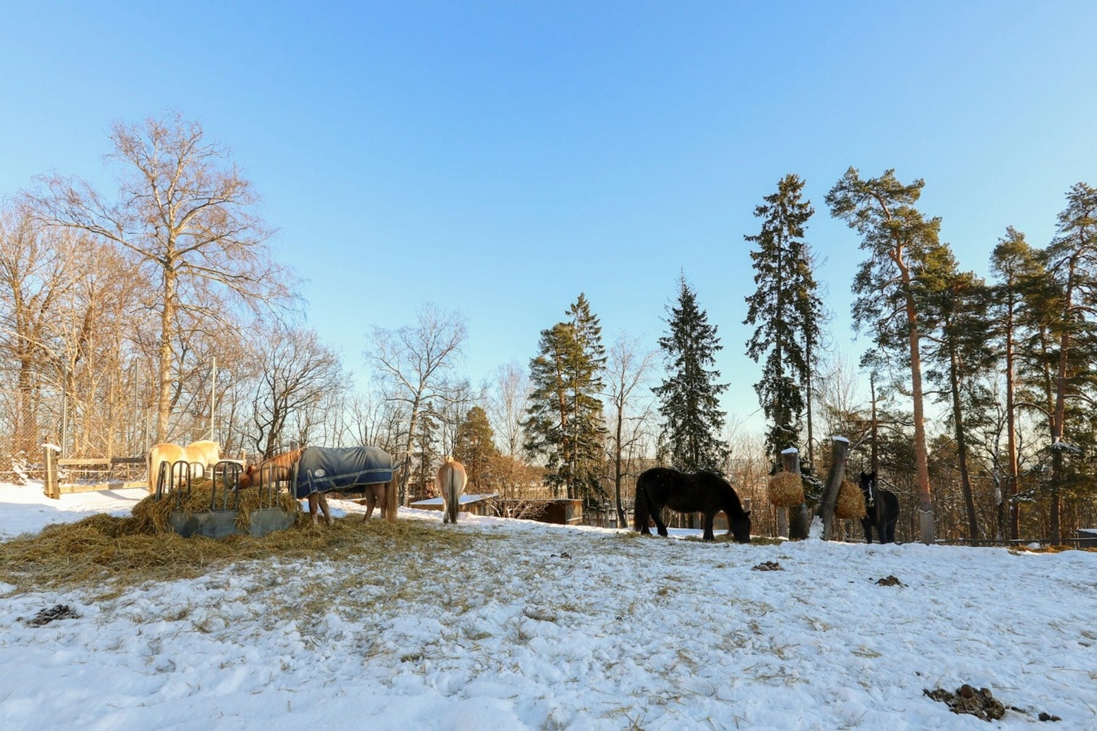 Området byr på nærhet til marka og byens fasiliteter Galleribilde