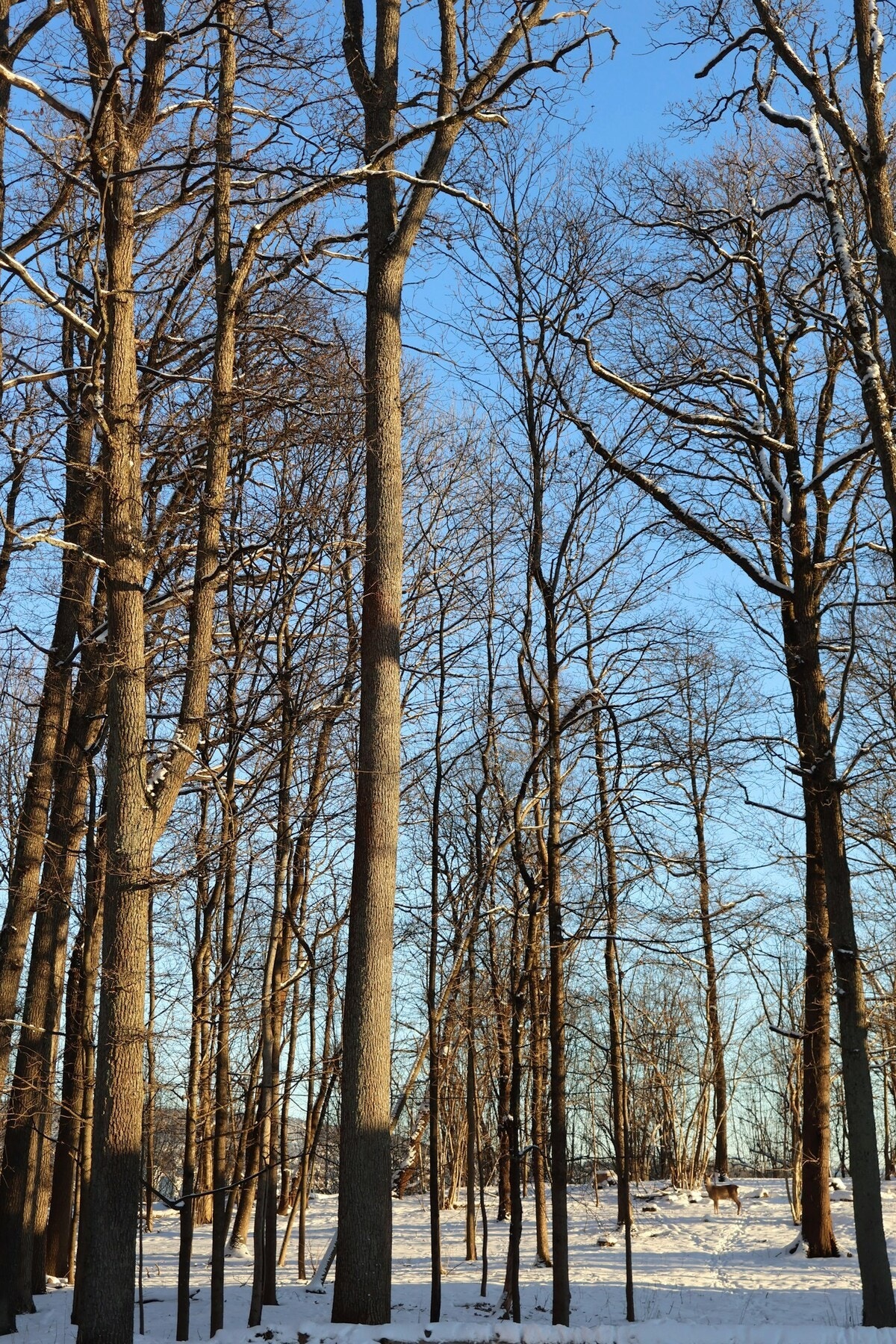Området byr på nærhet til marka og byens fasiliteter Galleribilde