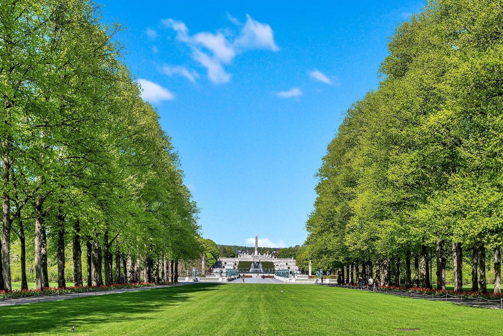 Populære Frognerparken ligger kun 12 minutters gange fra leiligheten. På fine sommerdager er det et yrende liv i Frognerparken; her kan man ta en joggetur, lufte hunden, ha piknik, grille, spille badminton eller bare sole seg. Galleribilde