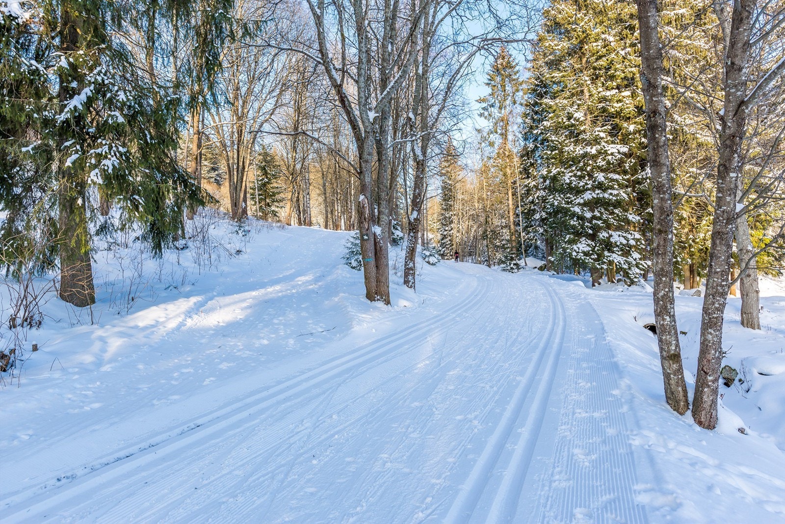 Lilloseter - fine turmuligheter, sommer som vinter Galleribilde