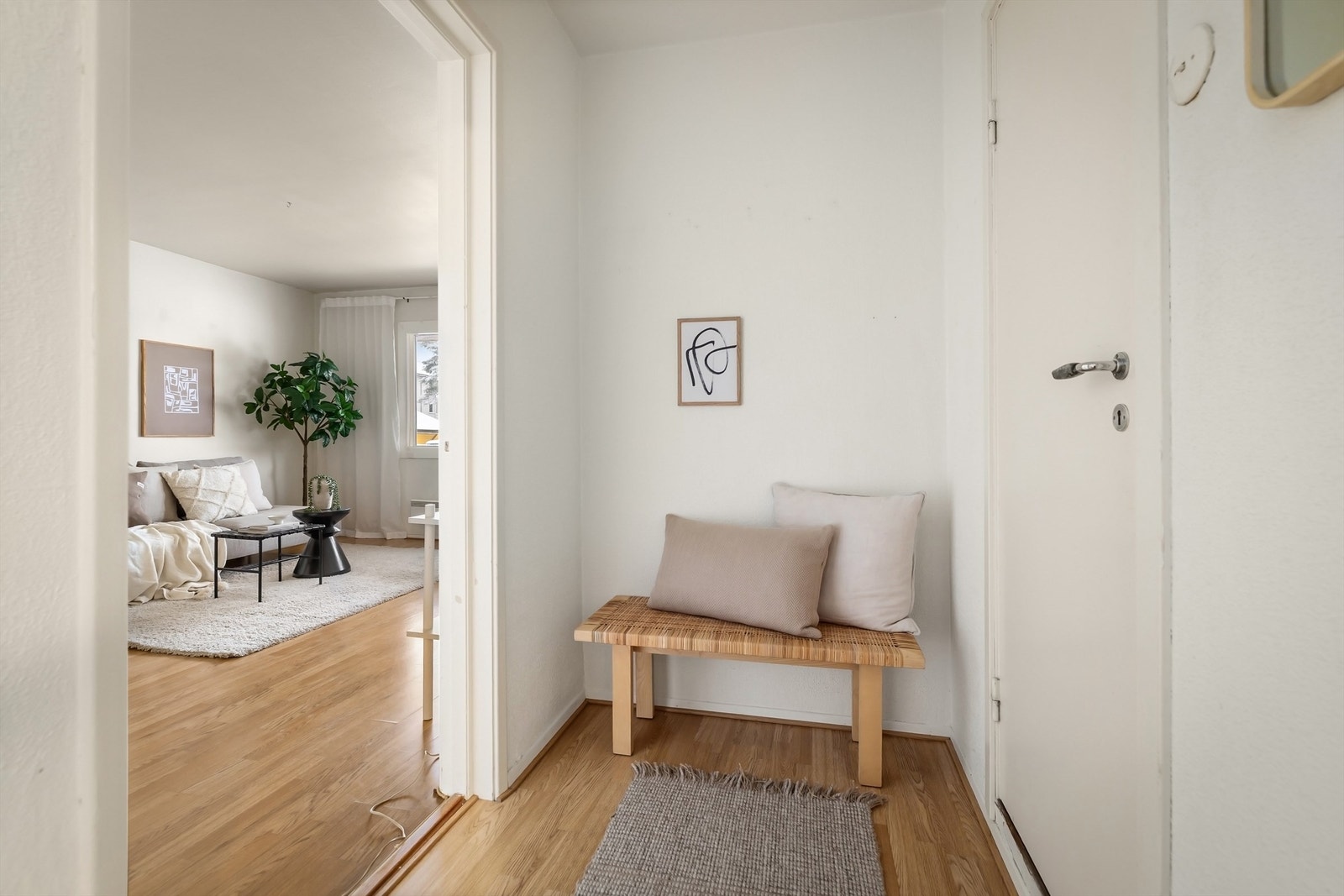 Entré med malte vegger og laminat på gulv, samt plass til å henge fra seg jakker og sette fra seg sko Galleribilde