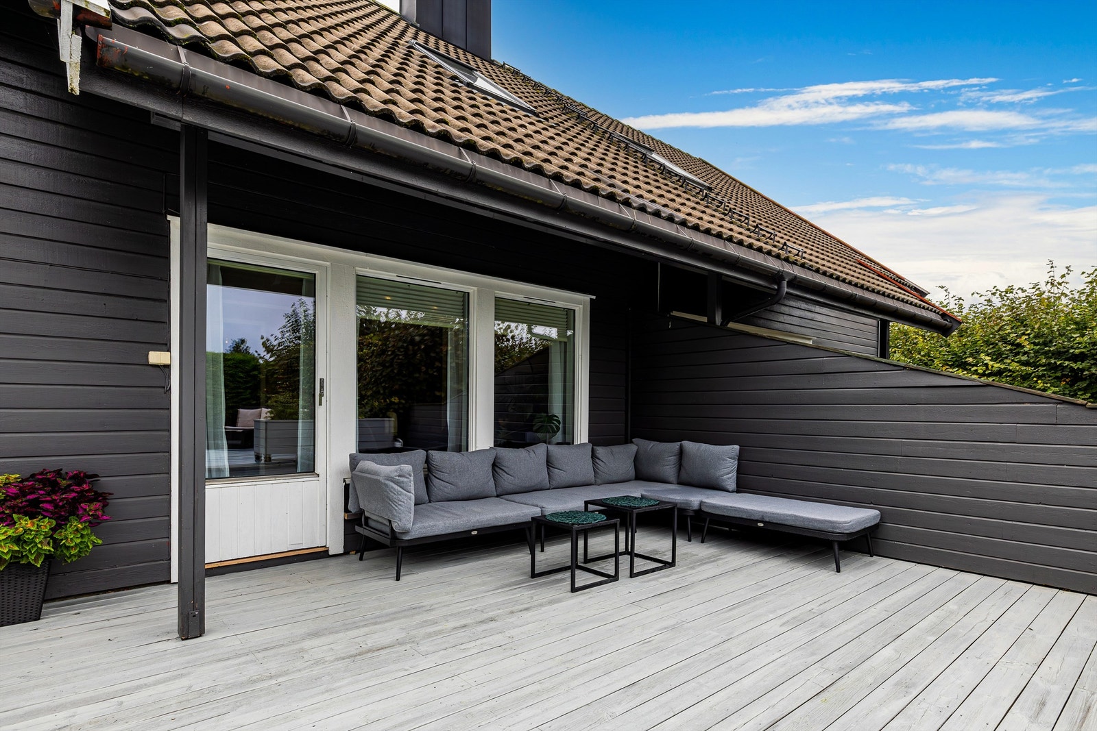 Gode solforhold Galleribilde