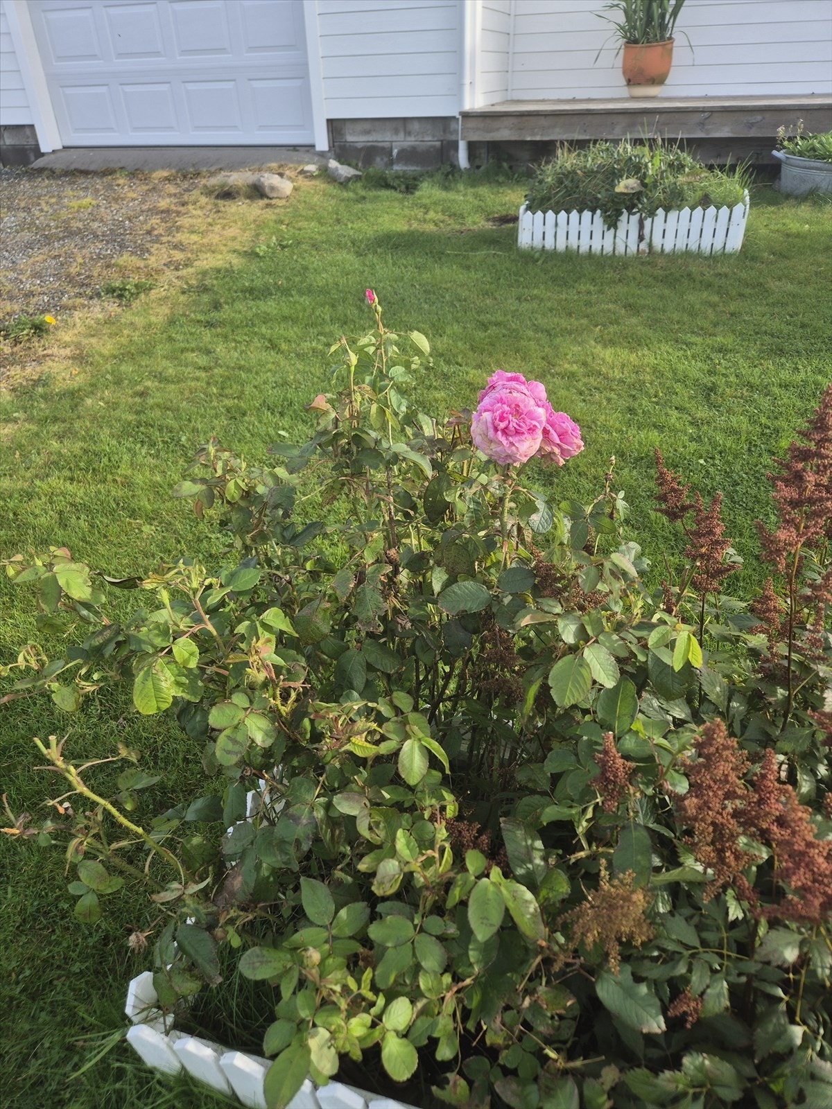 Selgers private bilde Galleribilde