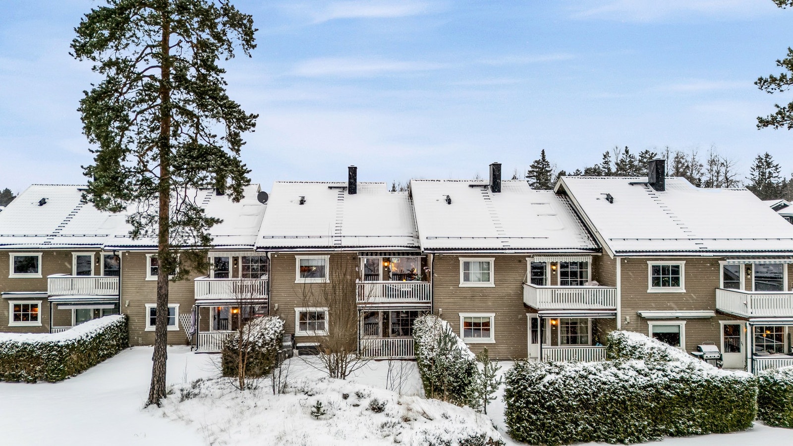 Oversiktsbilde av den skjermede og flotte hagen Galleribilde