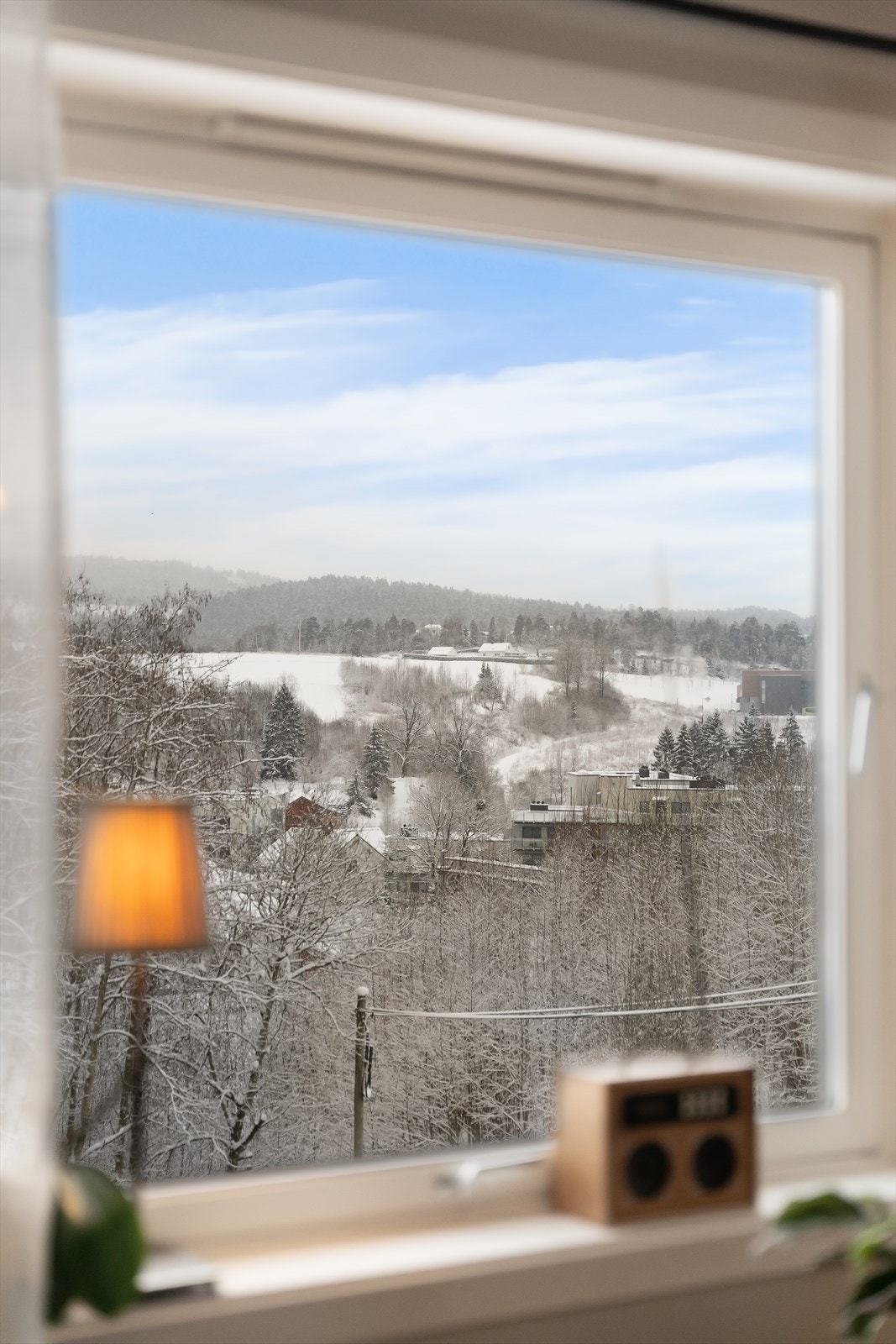 Utsiktsbilde Galleribilde