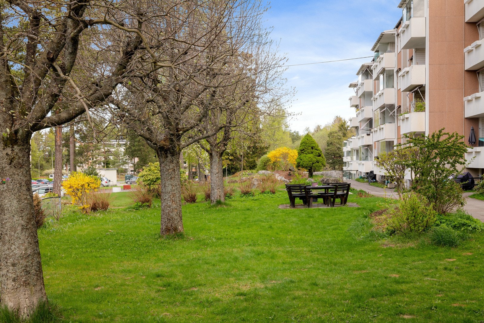 Fellesområdene er pent opparbeidet med plen, trær og beplantning. Galleribilde