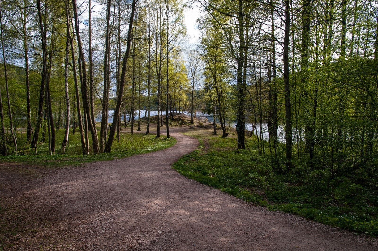 Skal du ut på tur, er det kort vei til flotte turveier inn mot Lutvann Galleribilde