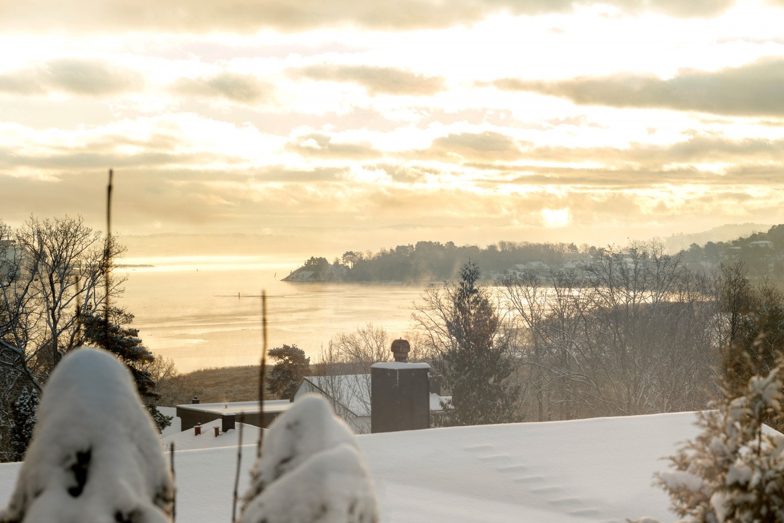 Velkommen til visning! Galleribilde