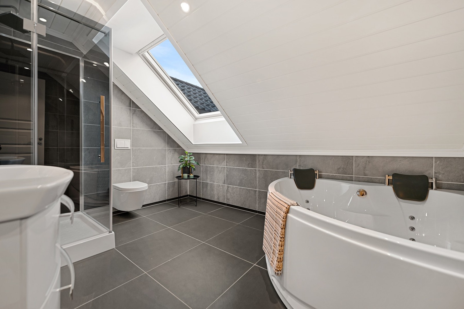 Takvindu gir dagslys. Galleribilde