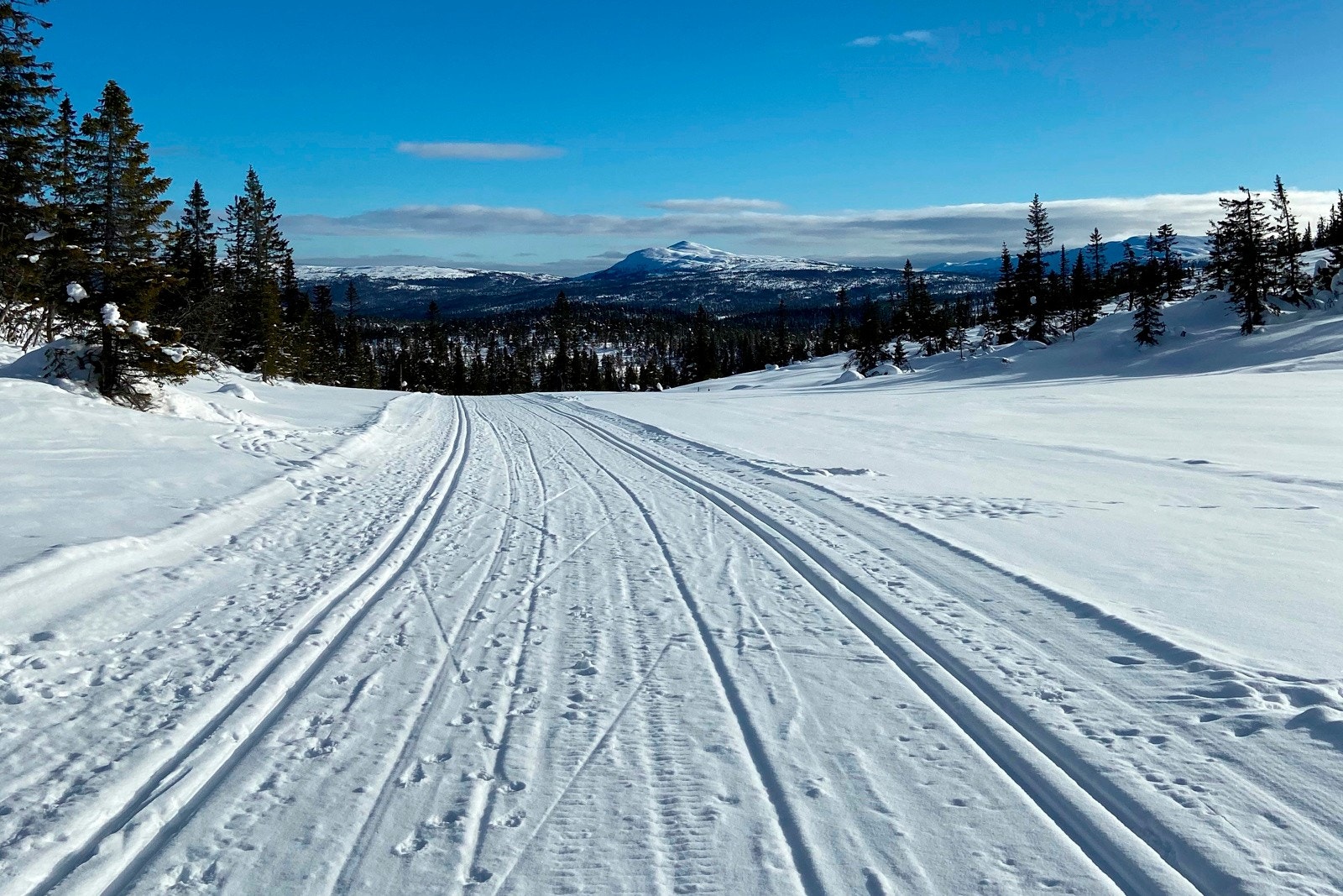 Det er kun 300 meter til skiløyper - selgers private bilder. Galleribilde