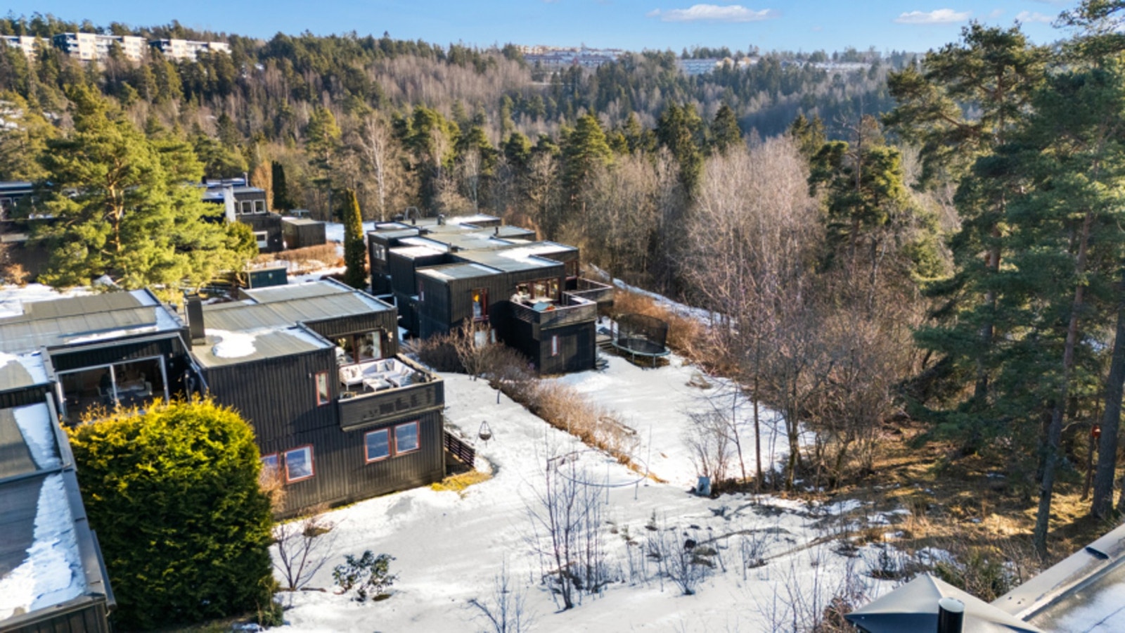 Borettslagets eiendom grenser til skog/friområde. Galleribilde