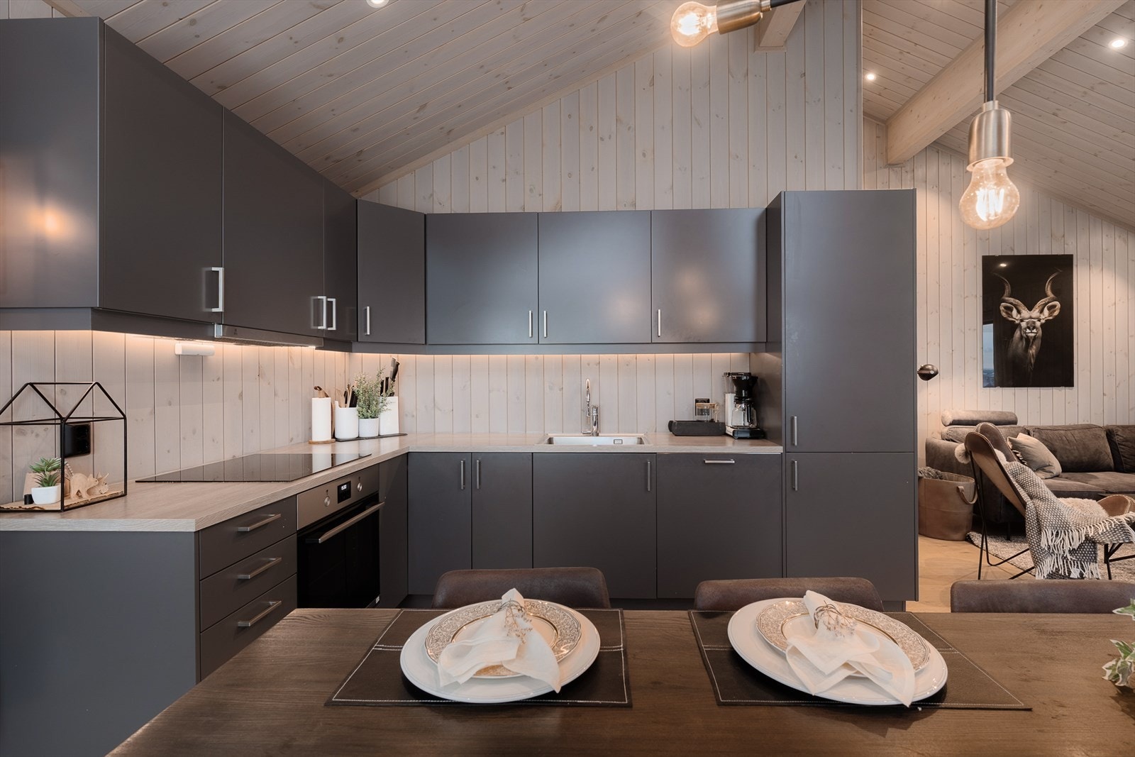 Videre er innredningen utstyrt med integrerte hvitevarer, inkludert komfyr, steketopp, oppvaskmaskin og kjøle/fryseskap. Galleribilde