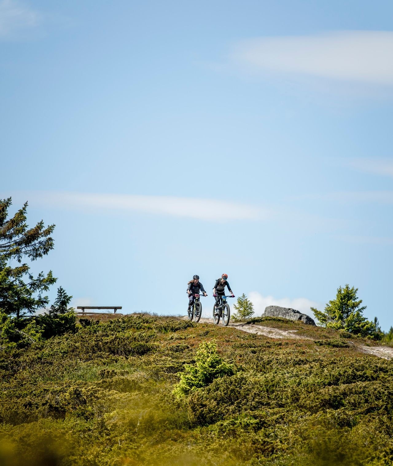 I tillegg til Downhill-sykling er Hafjell kjent for sitt store nettverk av tur- og sykkelstier. Her er det stier tilpasset både liten og stor, slik at hele familien kan være med på tur! Galleribilde