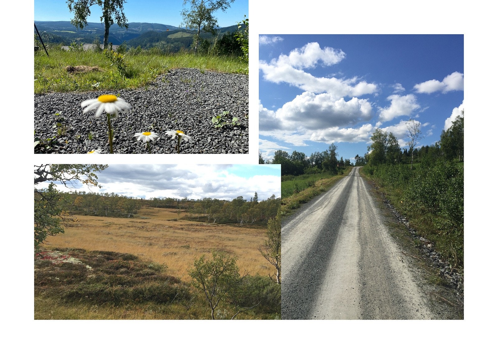 Det er et hav av turmuligheter med utgangspunkt fra hytta, bl.a. stisykling, fjellturer i Trollheimen mm. Galleribilde