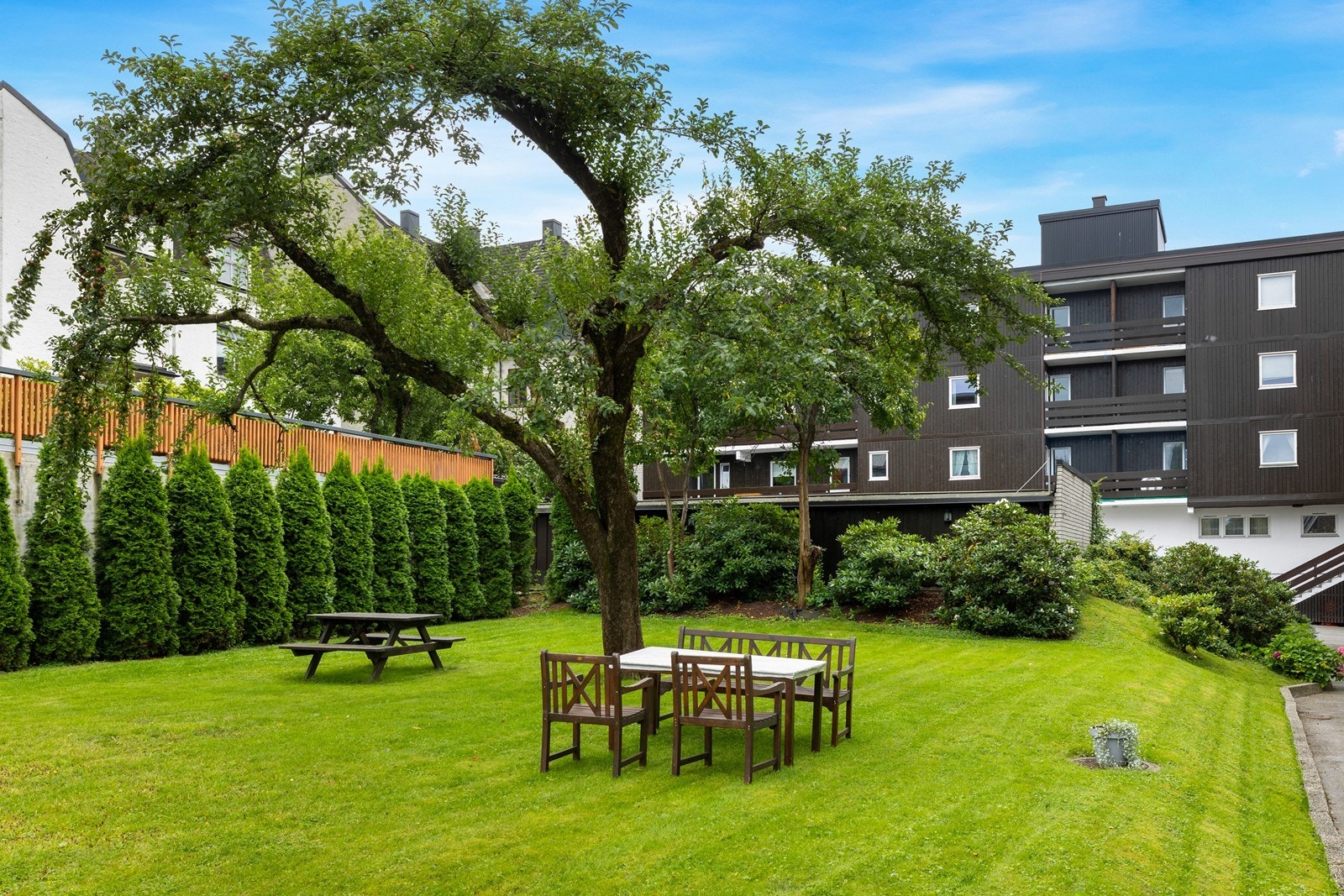 Sameiet har koselig felles uteplass - en grønn lunge med plen og sittegrupper. Galleribilde