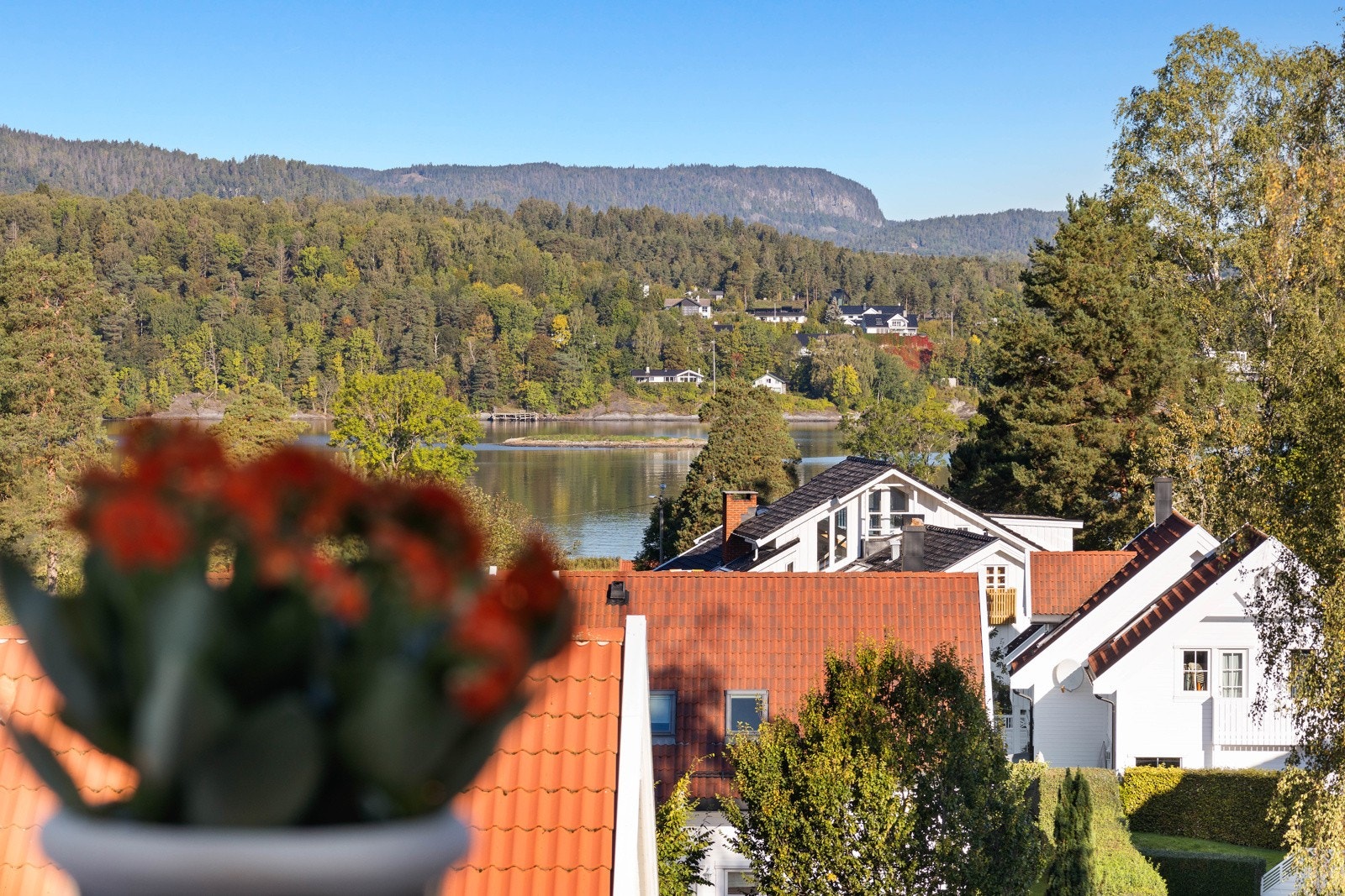 Balkong med vid utsikt Galleribilde