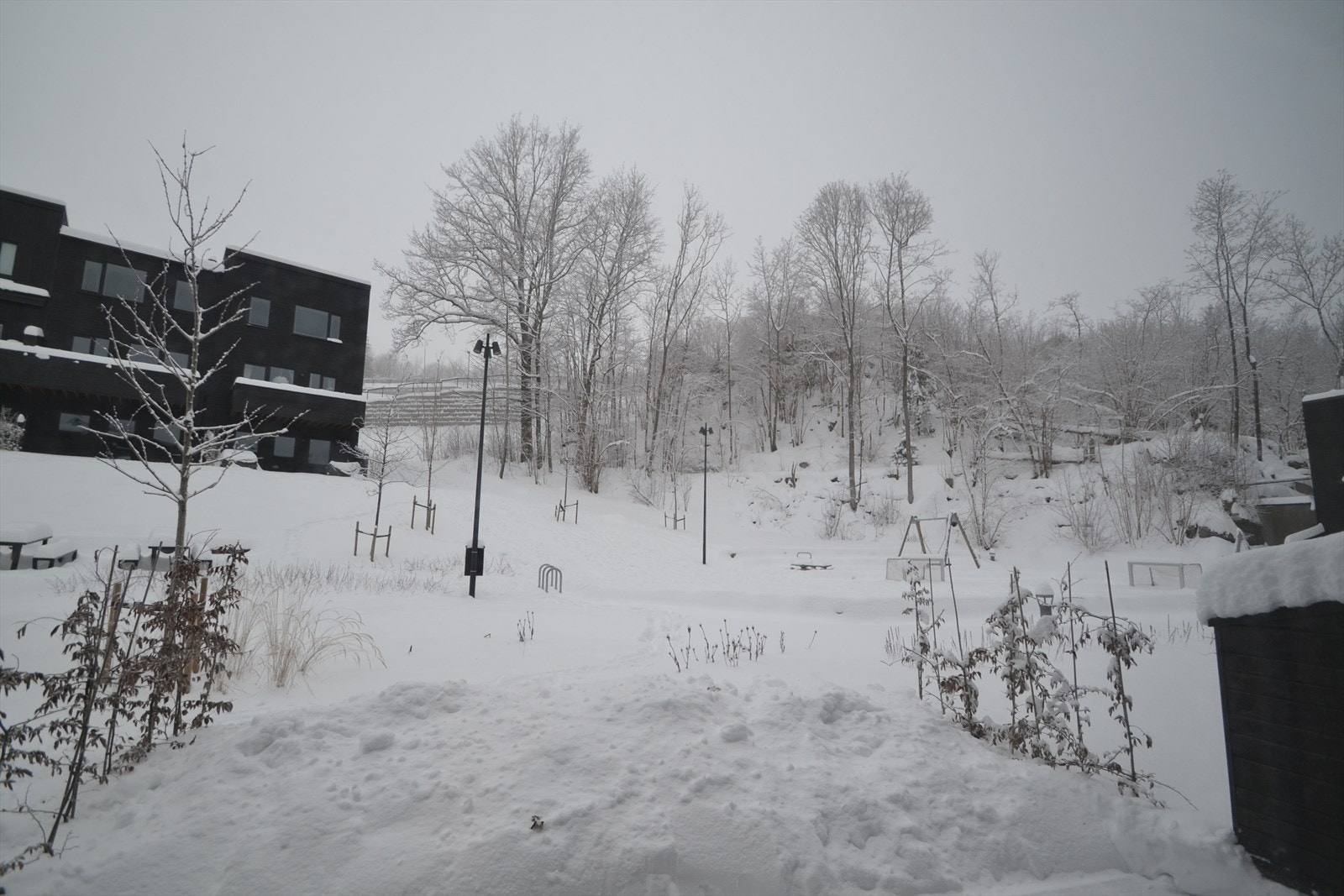 Selgers foto Galleribilde