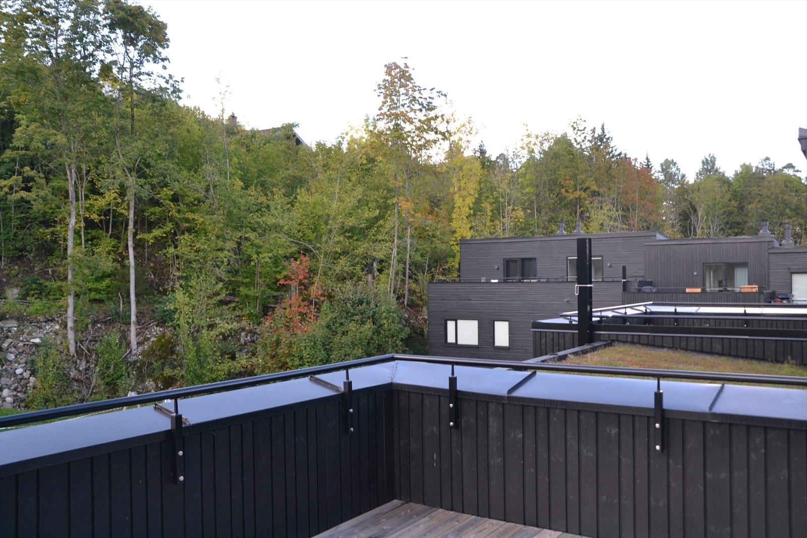 Selgers foto fra sommeren Galleribilde