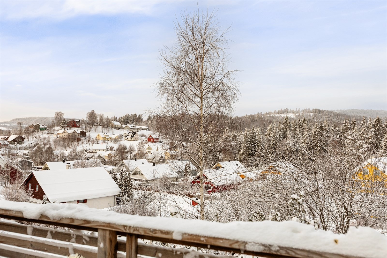 Hyggelig utsikt over nabolaget. Galleribilde
