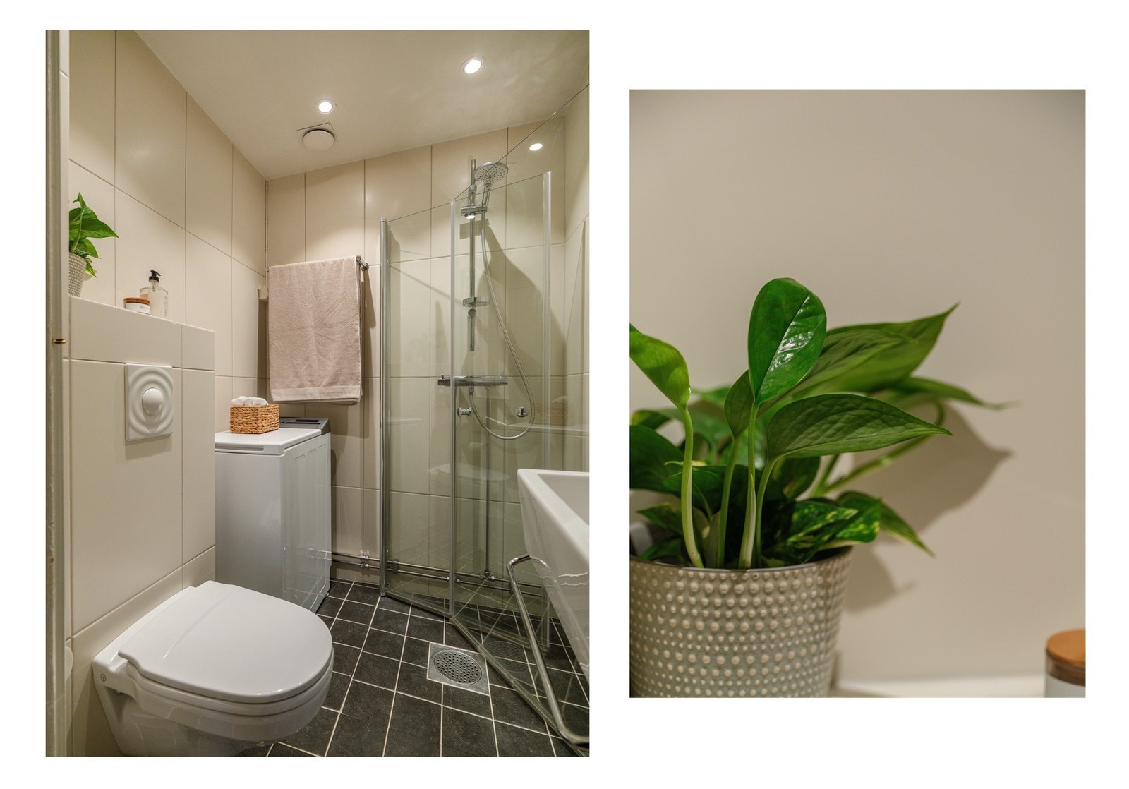 Det består av vegghengt toalett, dusjhørne med innfellbare glassdører og opplegg til vaskemaskin. Galleribilde