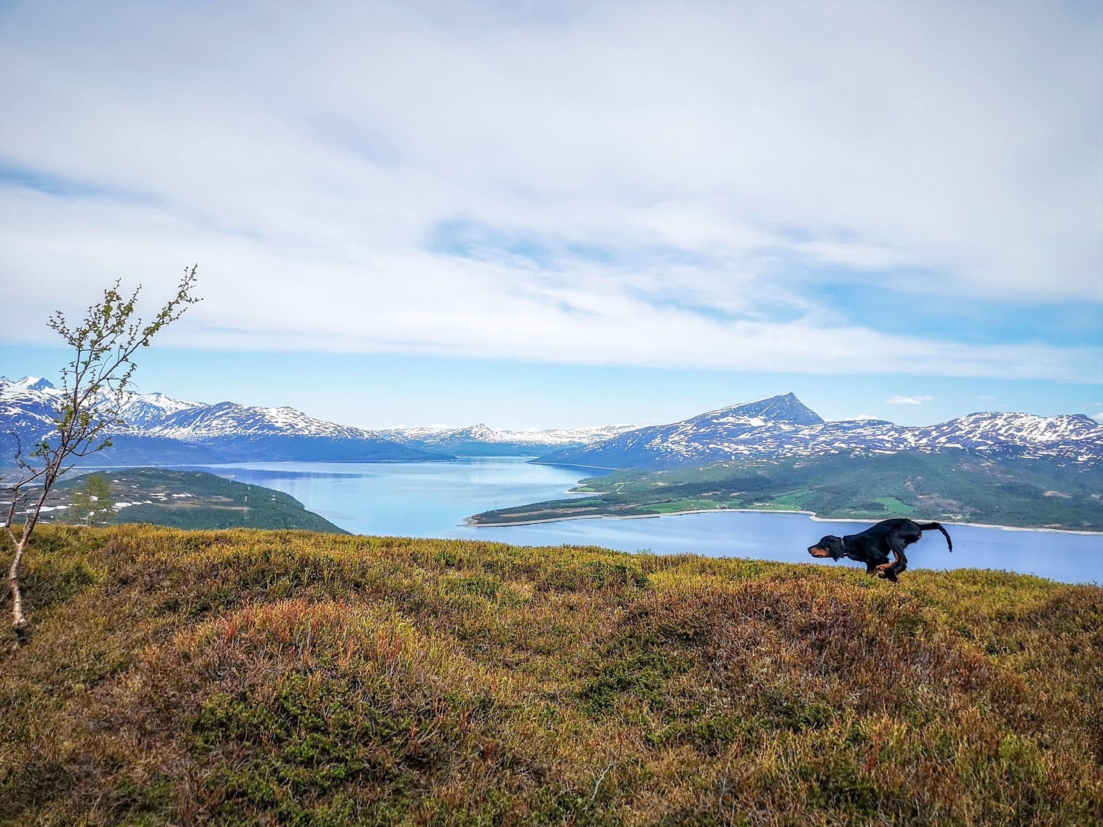 Jaktmuligheter er det massevis av i området. Galleribilde