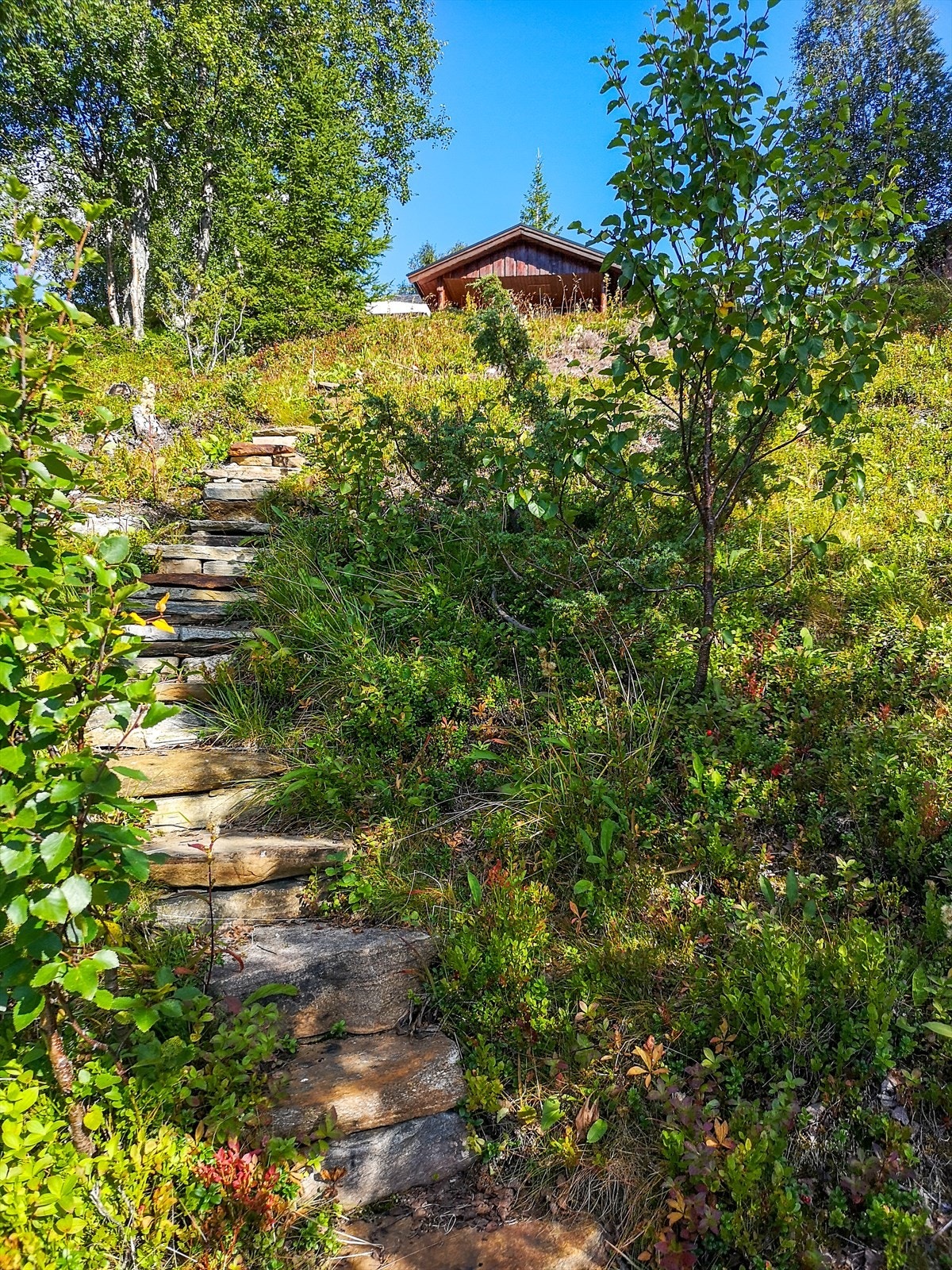 Steinbelagt sti til/fra strandsonen. Galleribilde