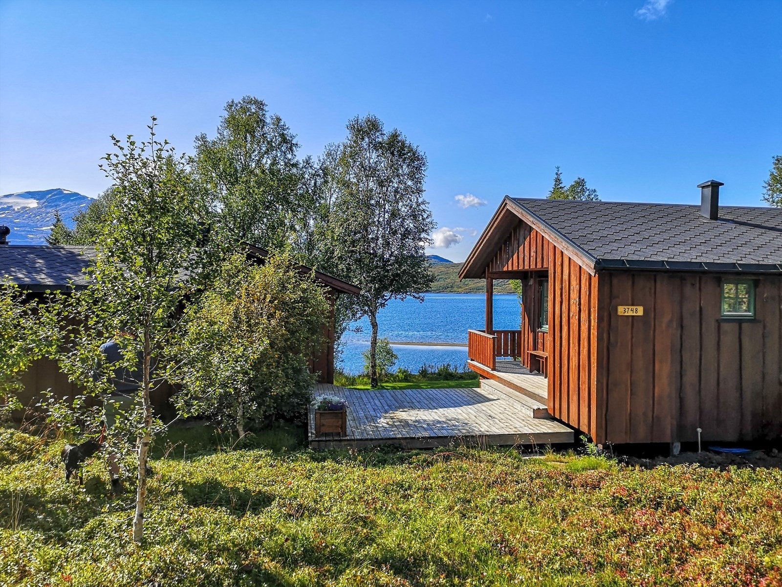 Noen sommerbilder viser omgivelsene rundt eiendommen. Galleribilde