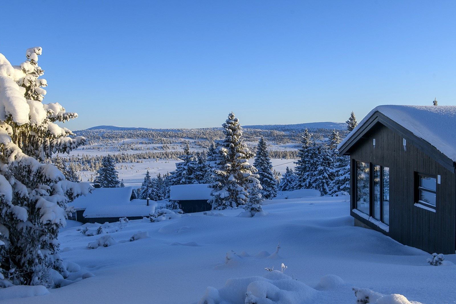 Med nærmeste preparerte skiløype kun 80 meter unna, er dette et eldorado for skientusiaster. Du har tilgang til milevis med topp preparerte skiløyper. Galleribilde