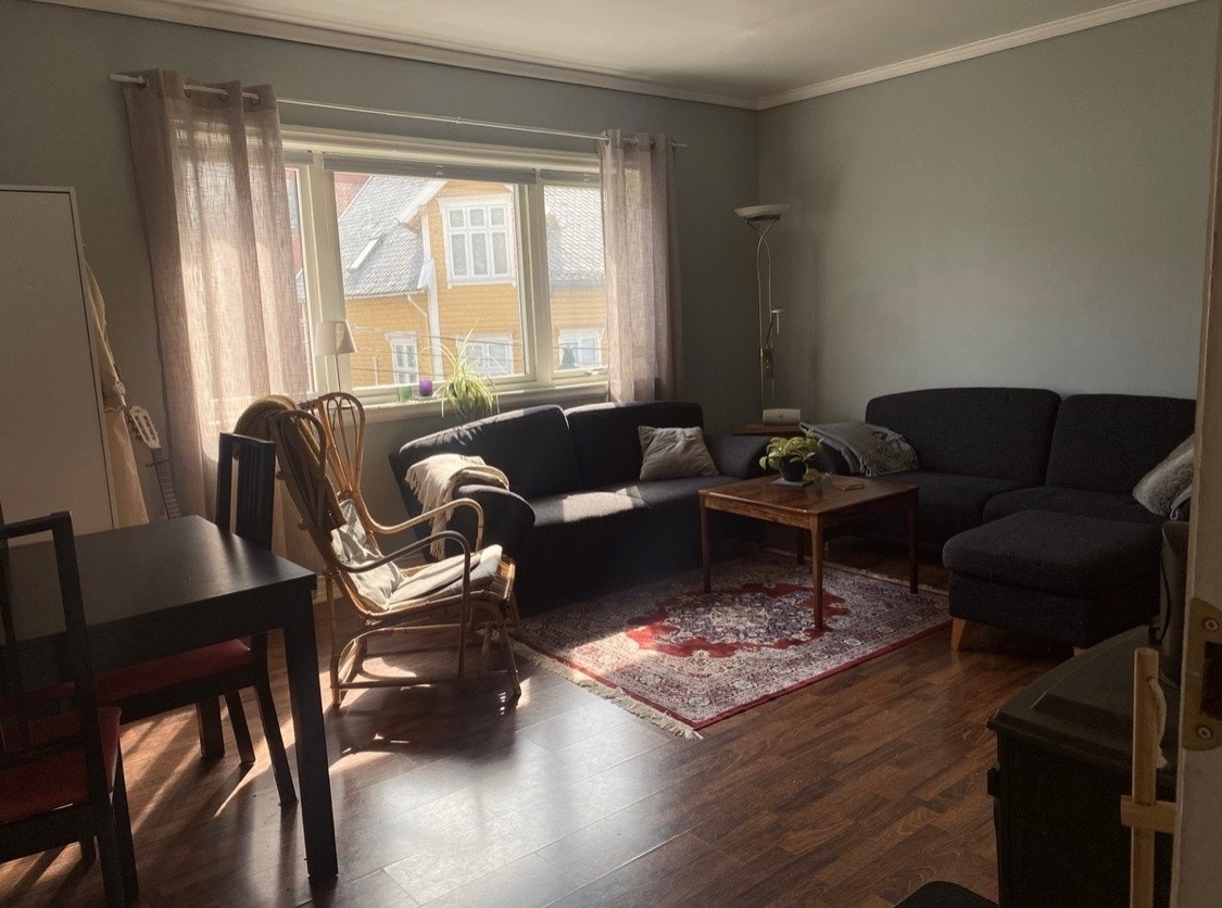 Romslig stue med overflater som er lette å holde rene. Galleribilde