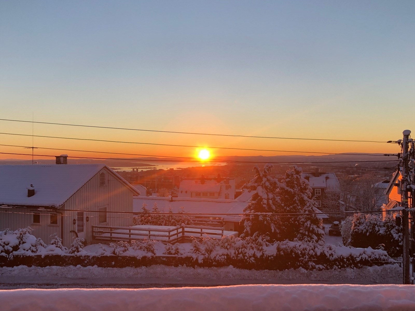 Selgers eget bilde Galleribilde