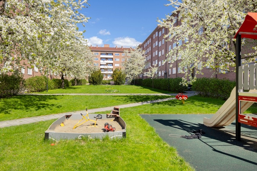 Bakgården oppleves som en grønn oase på vår- og sommerstid. Galleribilde