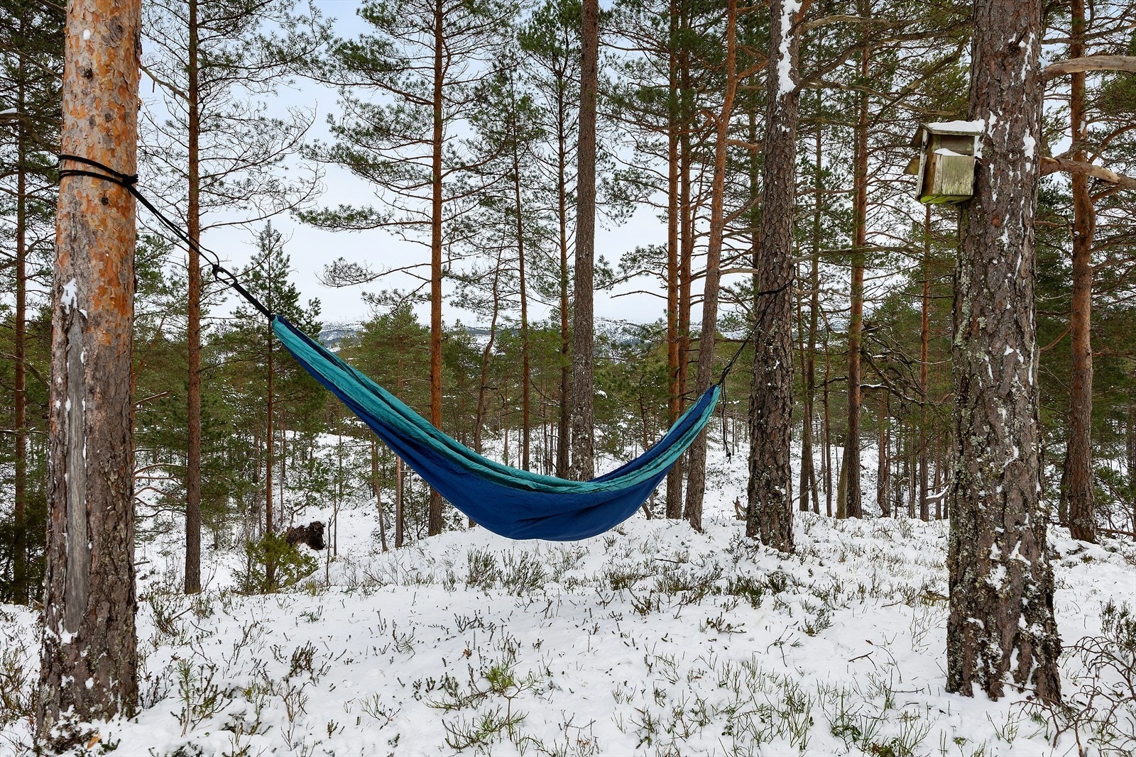 Ønsker en overnatting ute i det fri, så er det og en mulighet når en er på hytta:-) Galleribilde