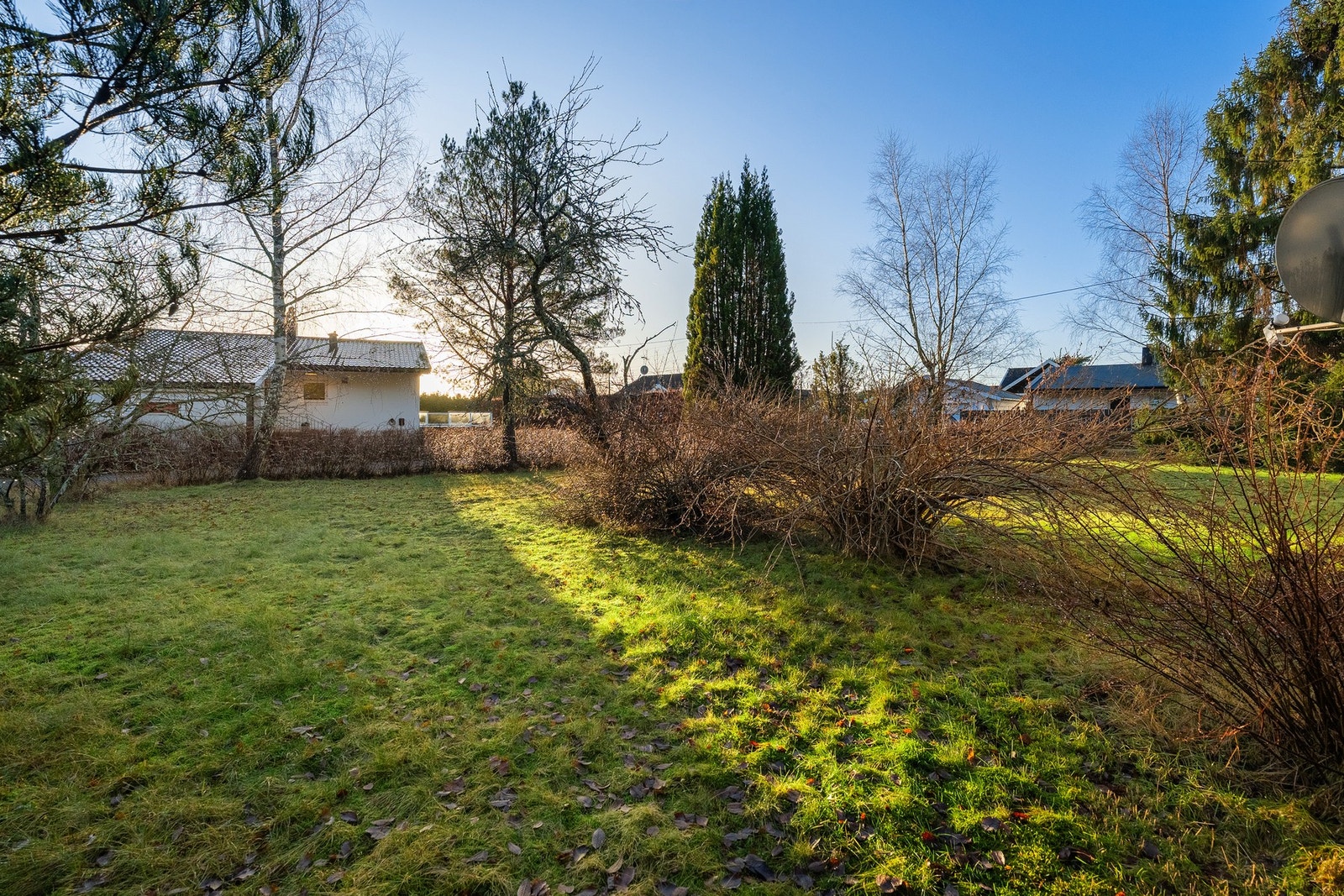 Del av den romslige hagen Galleribilde