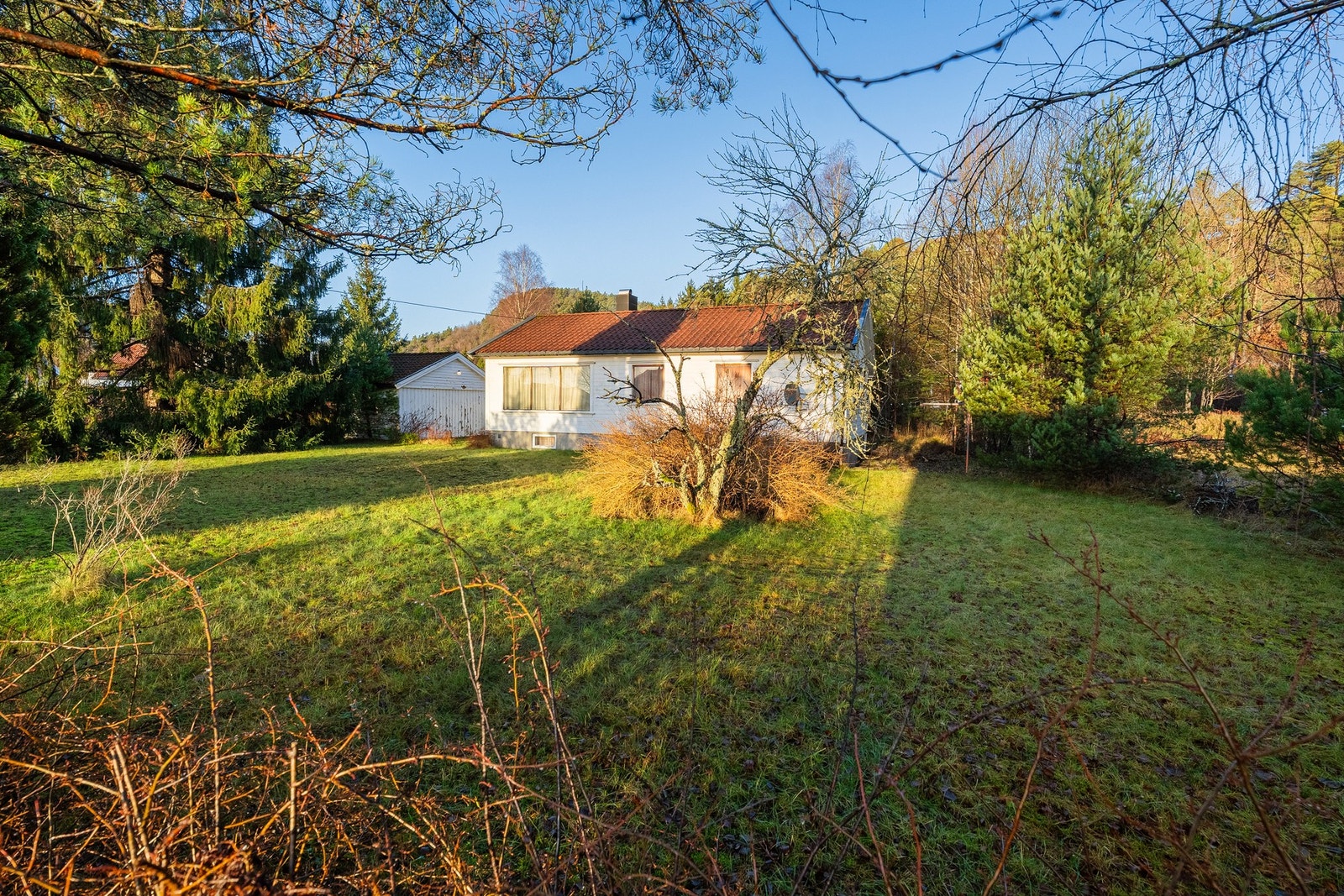 Romslig hage utenfor huset Galleribilde