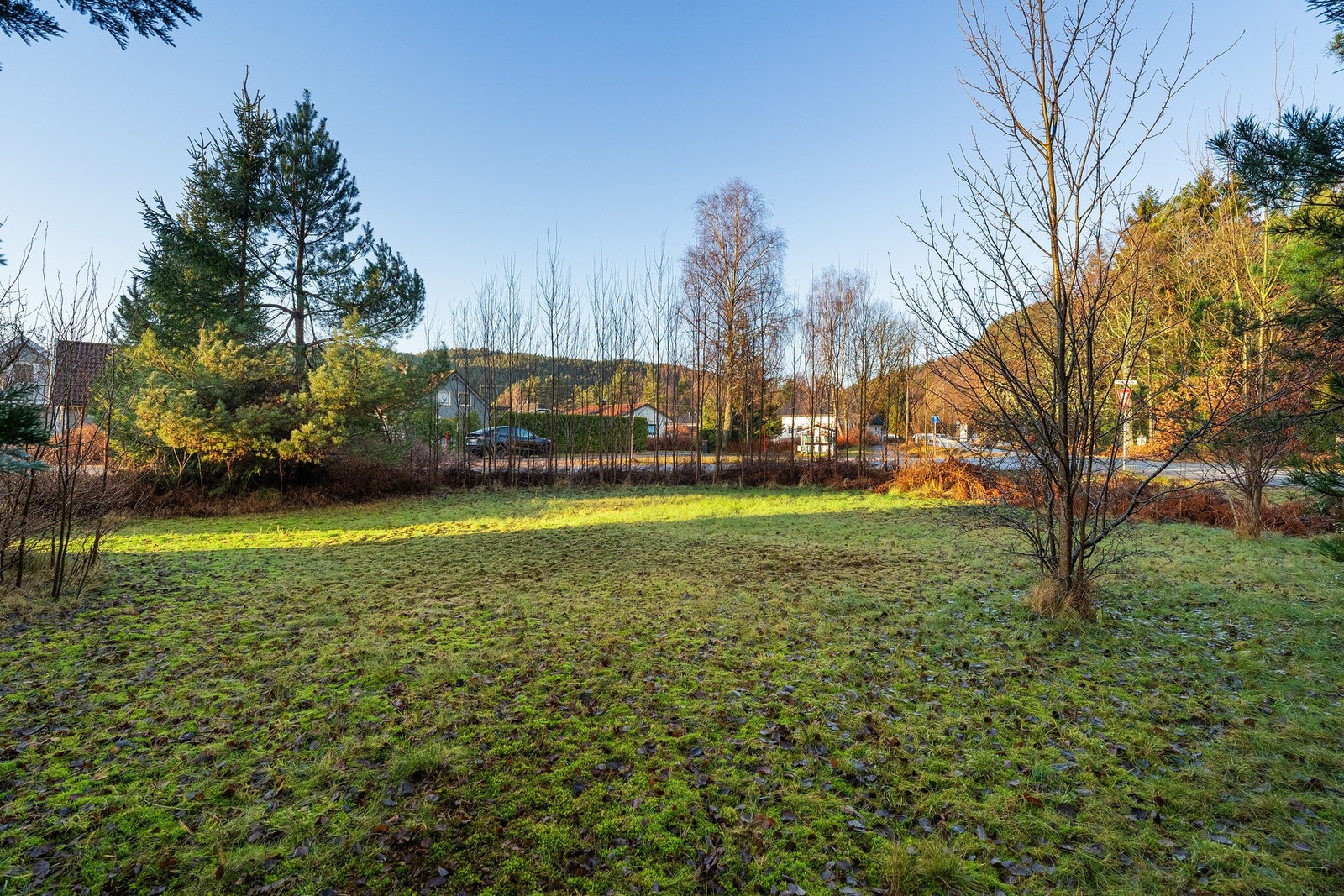 Del av tilleggstomten som ligger ut mot veien Galleribilde